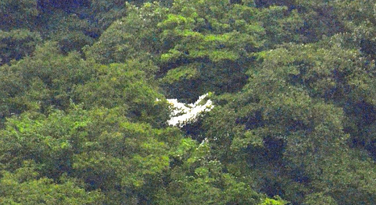 秋田の山中に飛行機が！